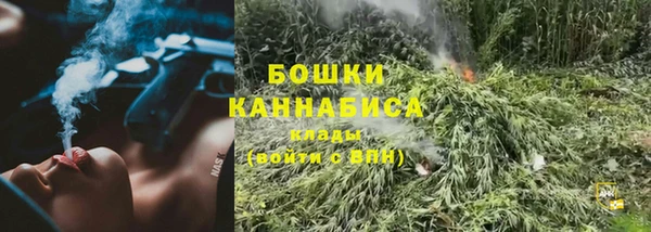 стафф Михайлов