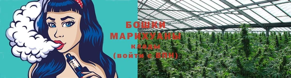 стафф Михайлов